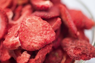 Freeze Drying Strawberries Product Finder 389x257